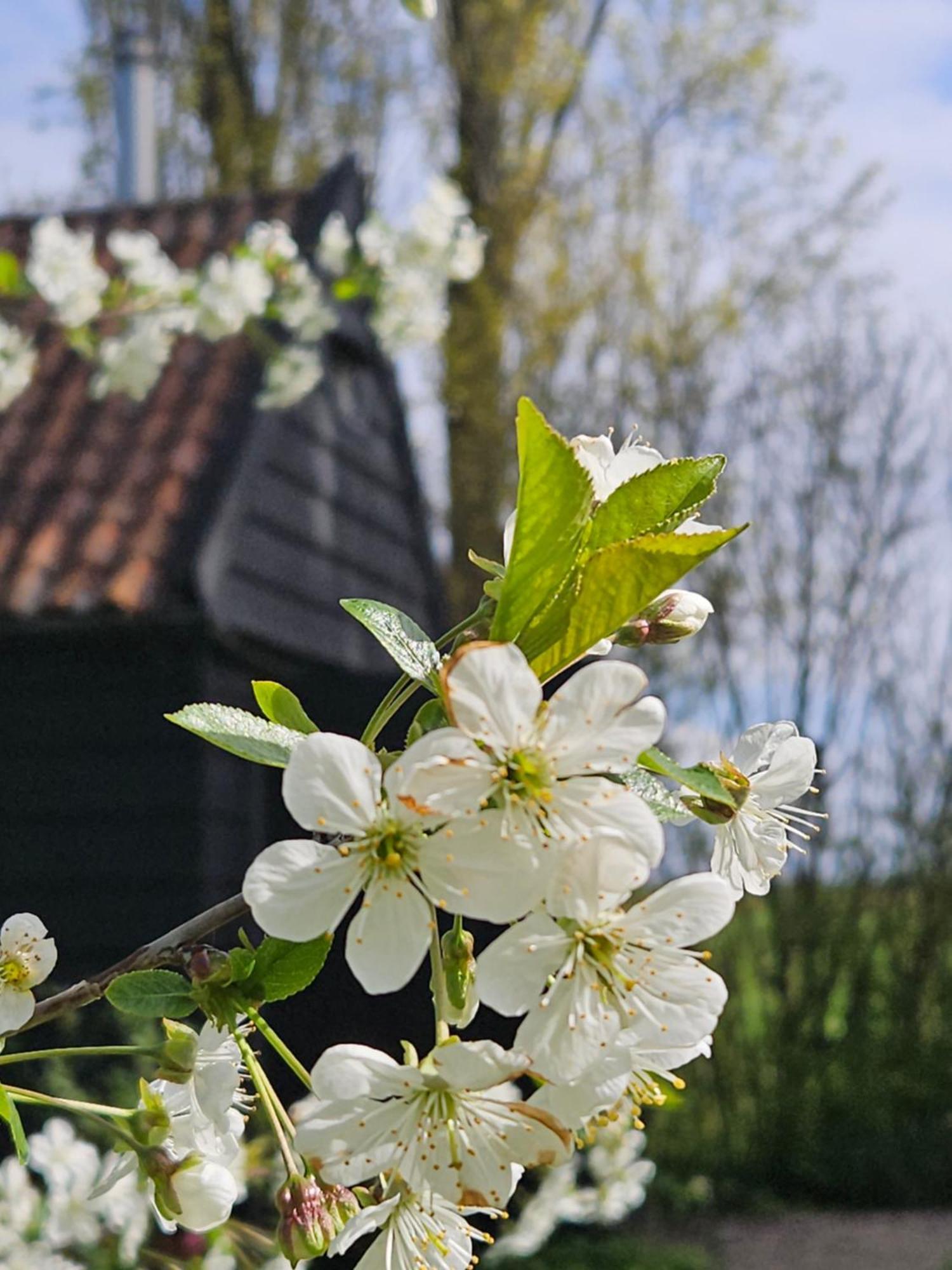 De Zeeuwsche Hoeve Kerkwerve Exterior photo