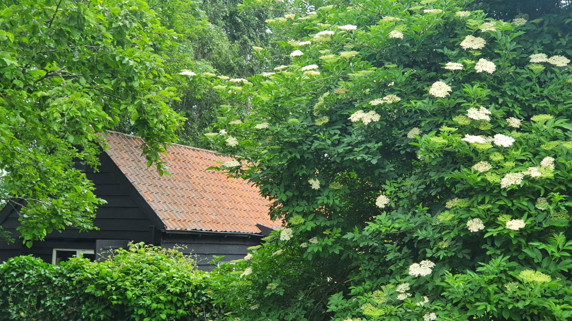 De Zeeuwsche Hoeve Kerkwerve Exterior photo