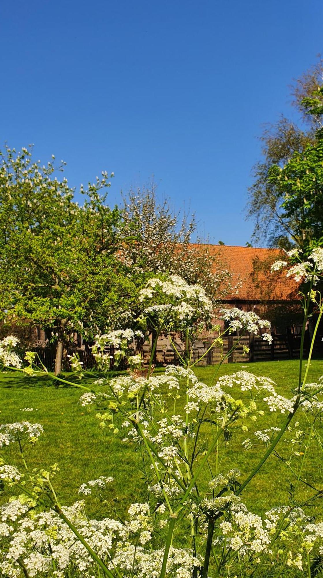 De Zeeuwsche Hoeve Kerkwerve Exterior photo
