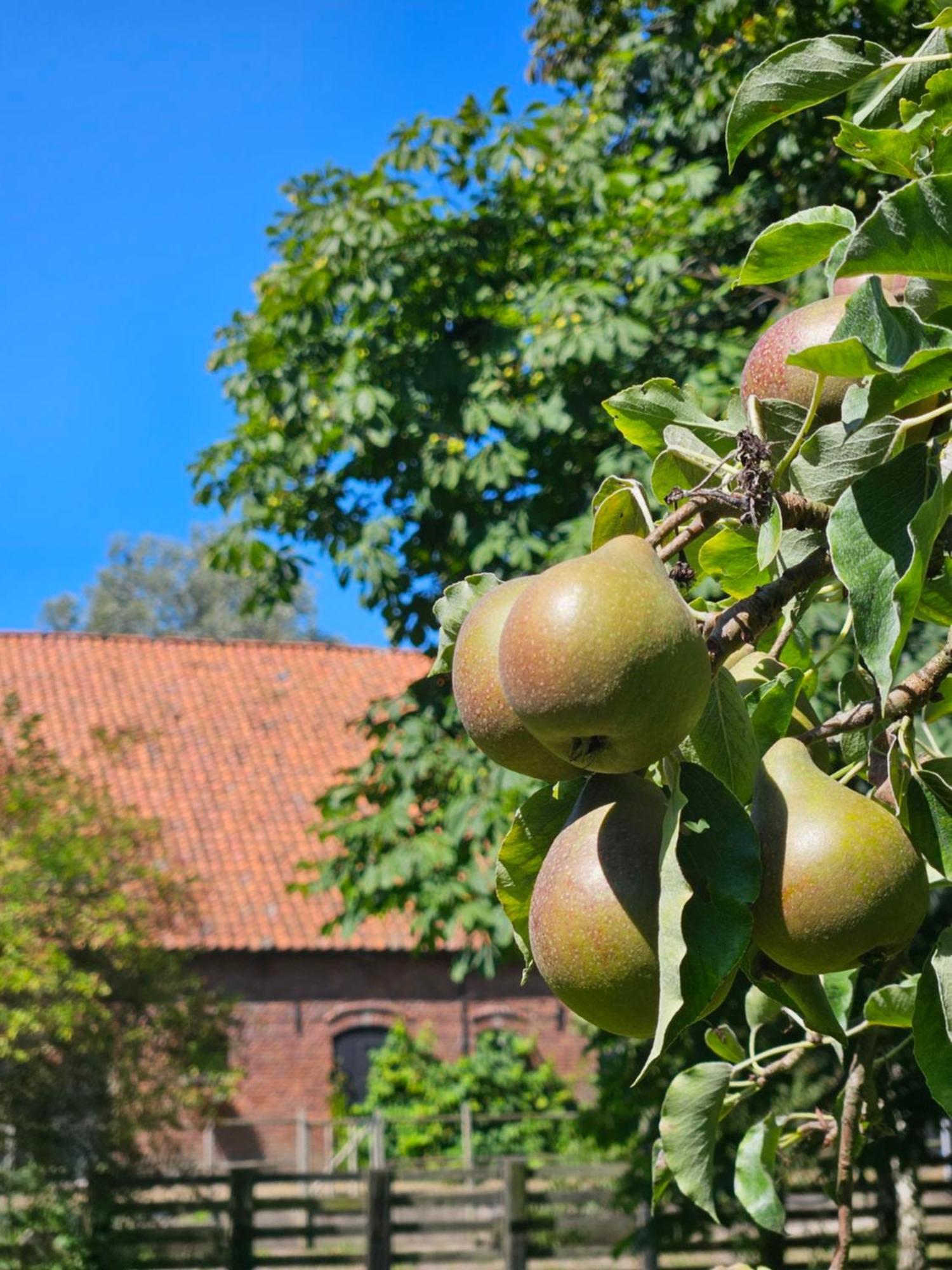 De Zeeuwsche Hoeve Kerkwerve Exterior photo